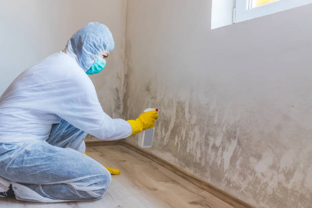 Hvac And Air Duct Mold Remediation inspection of HVAC system in Spruce Creek
